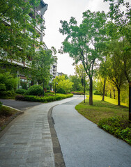 Obraz premium Tranquil Pathway Through Lush Greenery in a Modern Urban Park Setting