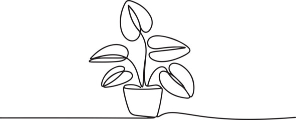 Dollar Tree Continuous Line Icon, Money plant in continuous line drawing. one line Icon drawing with white background