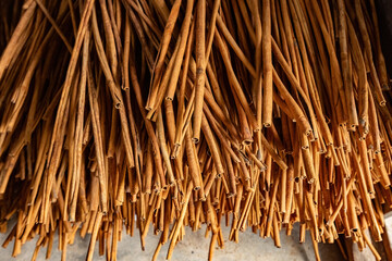A big bunch of cinnamon sticks for wholesale delivery at cinnamon plantation in West Sumatra Indonesia