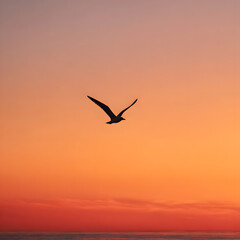 Fototapeta premium seagull in flight