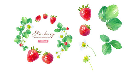 かわいいイチゴの丸型フレームと、エレメントのセット。水彩イラスト（ベクター）