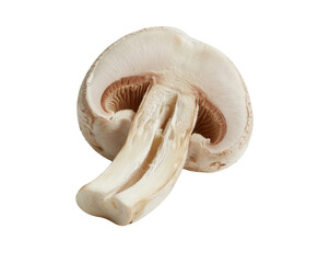 sliced mushroom isolated on white background.