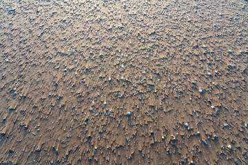 Pattern of small shells and pebbles resting on textured beach sand with long shadows cast by low light