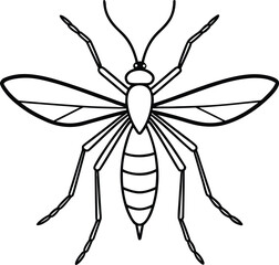 Fototapeta premium Detailed line drawing illustration of a winged insect with segmented body and antennae on a white background