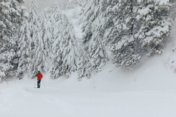 Person cross-country skiing through snowy Boise National forest