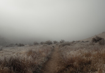 Winter hiking path in boise foothills fog