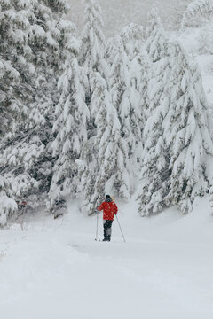 Man cross-country skiing through snowy winter forest in Boise, Idaho