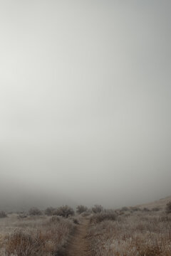 Boise foothills trail disappearing into winter fog