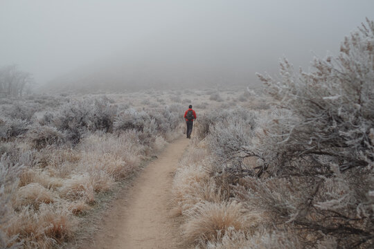Hiker walking winter trail in boise foothills fog