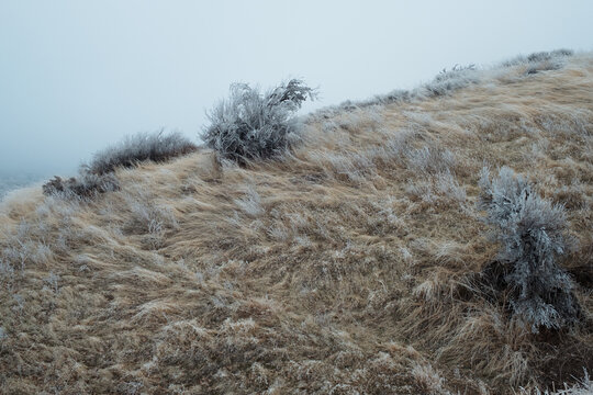 Boise foothills landscape experiencing a cold hoarfrost winter event