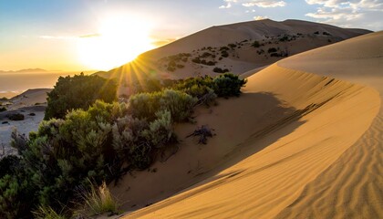 Golden Hour at Patara Sand Dunes - A Serene Landscape.