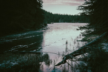 By the Vesle Fløyta Lake of the Totenåsen Hills, part of the Svartdalstjerna Primeval Forest Reserve, Norway, November 2025.