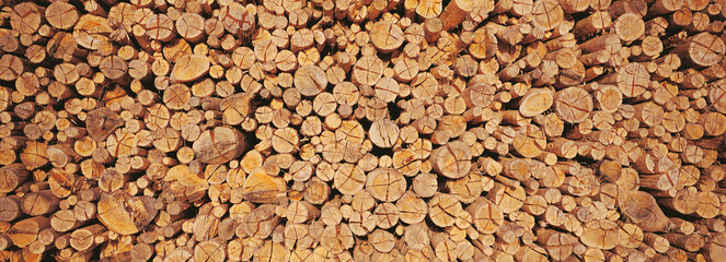 Stack of cut tree logs forming a uniform wooden texture. Natural timber cross-sections ideal for backgrounds, forestry concepts, sustainability themes and wood industry projects.