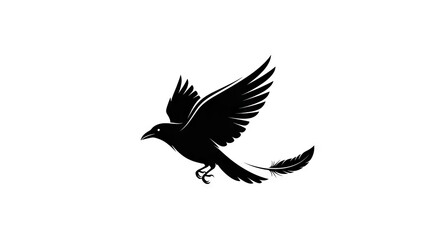 Black silhouette of a bird in flight with a feather at its tail against a white background
