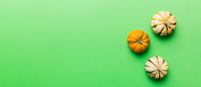 Autumn composition of little orange pumpkins on colored table background. Fall, Halloween and Thanksgiving concept. Autumn flat lay photography. Top view vith copy space