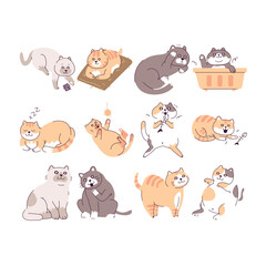 Cute Cat Illustration