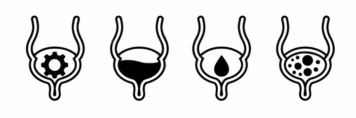 Bladder function and disorders visual representation showcasing different states and conditions affecting urinary health and anatomical structure