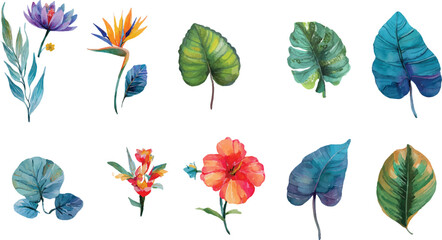 set of colorful leaves