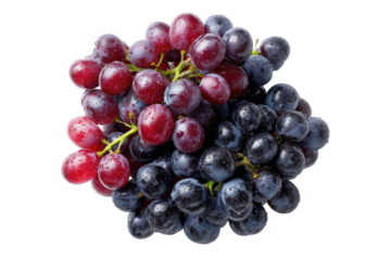 Bunch of ripe grapes featuring red, purple, and dark blue hues on a black background
