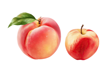 Side-by-side vibrant peach and apple, isolated on a transparent background