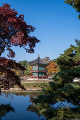 Autumn Scenery at Hyangwonjeong Pavilion, Gyeongbokgung Palace