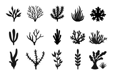 Botanical Leaf Silhouette Set – Minimal Plant Branch Vector Collection.