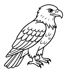 A black and white line drawing of a cartoon eagle for coloring