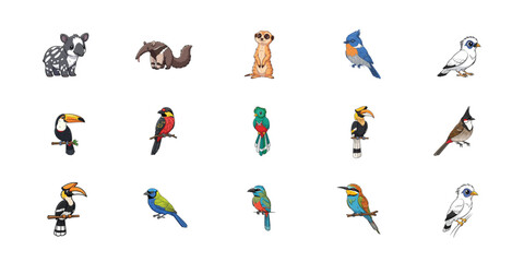 Collection of various bird species isolated on white background