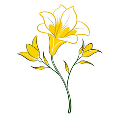 freesia yellow white vector illustration
