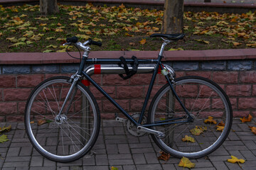 Fototapeta premium Standing bicycle on the autumn street 