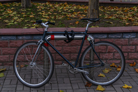 Standing bicycle on the autumn street 