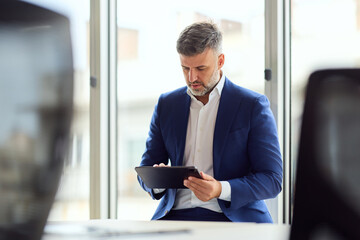 Fototapeta premium Business Professional Using Tablet In Modern Office By Window, Focused On Work