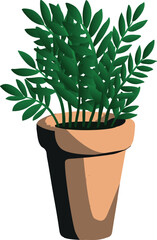 Zamioculcas in a pot. Potted plant. Plant for the home.