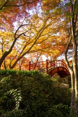 矢祭山公園の紅葉
