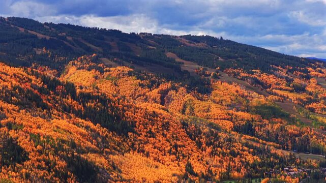 Vail mountain ski resort morning aerial drone parallax fall autumn vibrant colorful quaking aspens trees October blue sky clouds Vail Village ski trails White River National Forest circle left motion