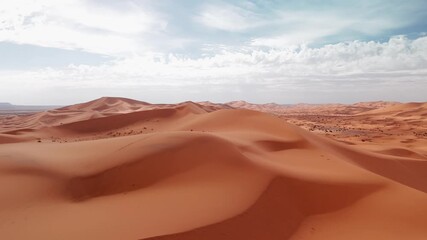 Reveal drone shot over big sandy dunes in morocco desert wth bushes