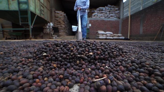 SLOW MOTION SHOT OF A MAN PREPARING COFFEE BEANS AT A CLOUDY DAY