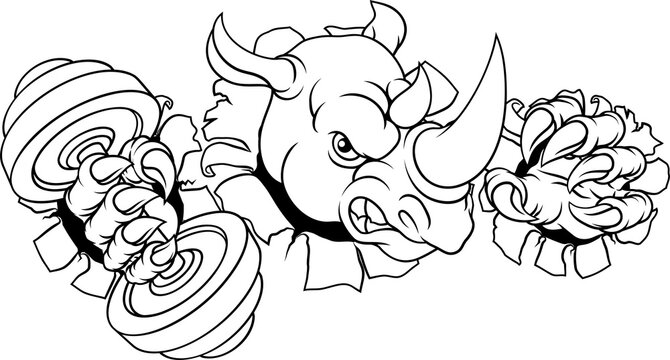 A rhino rhinoceros weight lifting trainer, exercise or body building gym cartoon sports mascot holding weights dumbbell