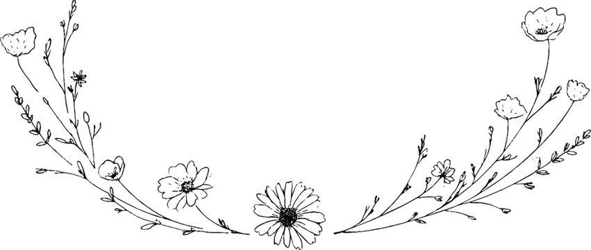 Minimalist line art wildflower frames with daisies for design and decoration