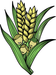 Agricultural Wheat Plant Cartoon child look Style Vector