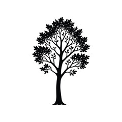 Detailed Tree Silhouette – Natural Botanical Vector Illustration