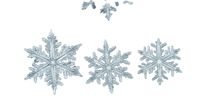 perfectly symmetric crystalline snowflakes in extreme macro close-up against a pristine high-key white background with dramatic bokeh and negative space, concept of pristine winter magic - Powered by Adobe