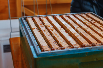 A close-up of wooden honeycomb frames filled with wax and honey, placed inside a blue beekeeping box. The frames show traces of honey drips, highlighting the beekeeping process. Warm, natural tones