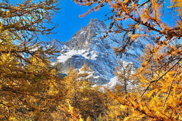 Montagne enneig&eacute;e au milieu des m&eacute;l&egrave;zes