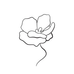 continuous one line drawing of a flower