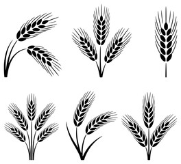 Collection of Black and White Wheat Ear Icons and Silhouettes