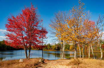 View of the landscape in Cape Porpoise, Maine USA