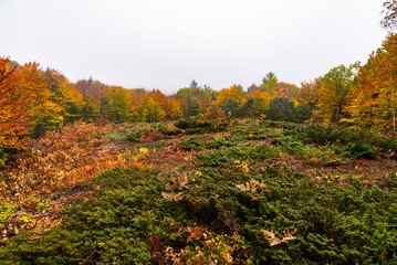 View of the landscape in Cape Porpoise, Maine USA