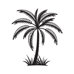 Obraz premium Palm Tree Coconut Tree Tropical Silhouette Vector Illustration