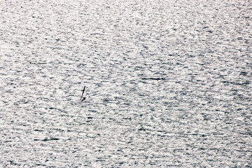 Minimalist Windsurfing Silhouette in Villajoyosa